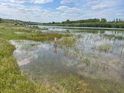 A minefield staked out by Halo Trust in Ukraine that has been flooded, scattering many of the planted devices. Photo: Halo Trust