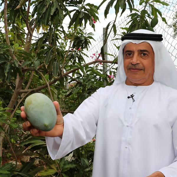 Meet the Emirati man growing hundreds of exotic fruits and plants in his nursery