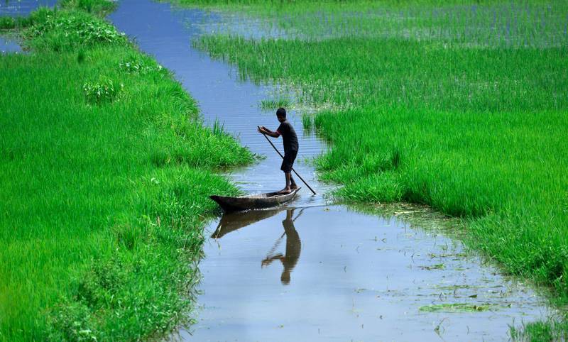 epa06180630 An Indian boy inspects his paddy fields submerged by monsoon rain in Nagaon district of Assam state, India, 03 September 2017. According to news reports, 1200 people have been killed across South Asia due to monsoon floods and landslides. More than 40 million people are reported affected in the Himalayan foothills in India, Nepal and Bangladesh.  EPA/STR