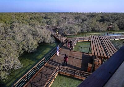 Abu Dhabi, United Arab Emirates, September 23, 2020.  The view deck at Jubail Mangrove Park, Jubail Island, Abu Dhabi.Victor Besa/The NationalSection:  ACReporter:  Hayley Skirka