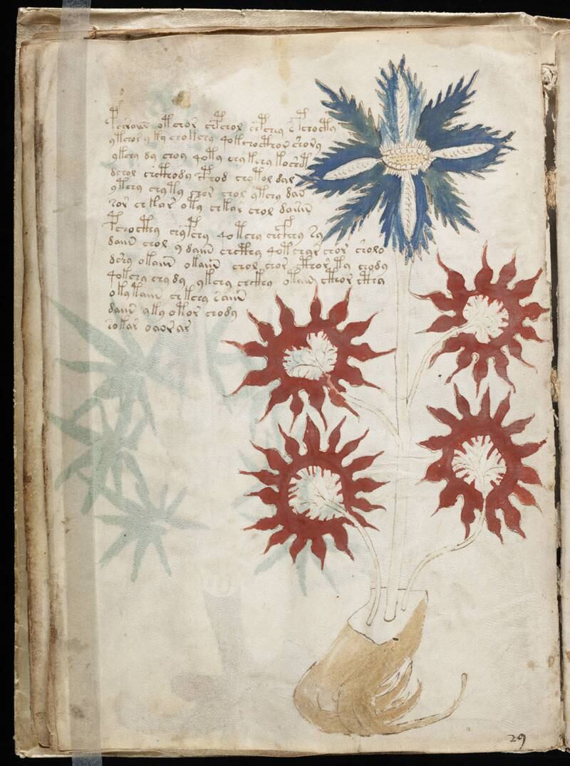 The Voynich Manuscript is one of the most mysterious books in the world. The document is believed to have been written six centuries ago in an unknown or coded language that no one has ever cracked. AFP