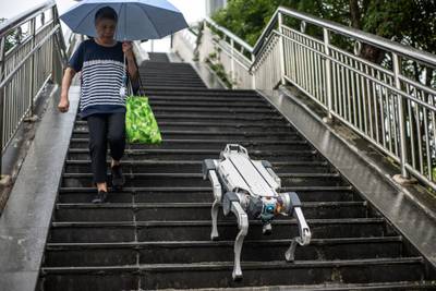 A robot dog developed by Chinese company DEEP Robotics goes for a walk in the Asian Games host city of Hangzhou. AFP 
