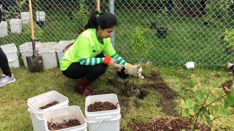 Kehkashan Basu's Green Hope Foundation has run several initiatives, from tree planting to beach clean-ups and mangrove conservation. Photo: Green Hope Foundation