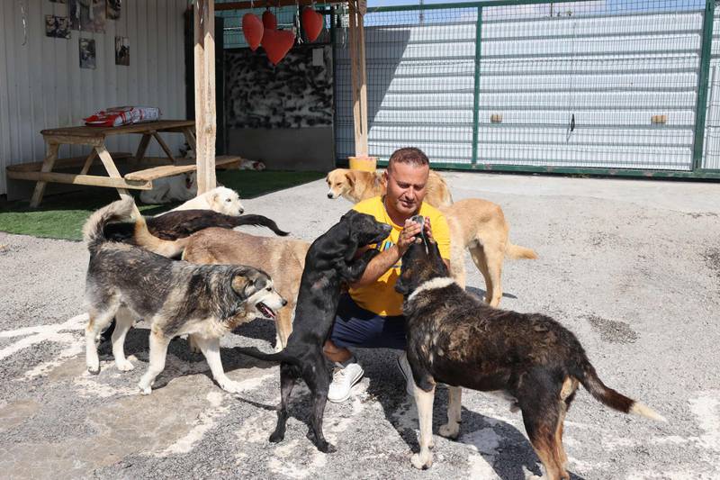 Volkan Koc, pictured, founder of the Patilikoy shelter in the Turkish capital Ankara, takes a more optimistic view. 'Europeans have solved this problem by sterilising dogs and offering them up for adoption,' he said. 'We may be behind on this but our people have good hearts. We will never let a minority harm animals.'