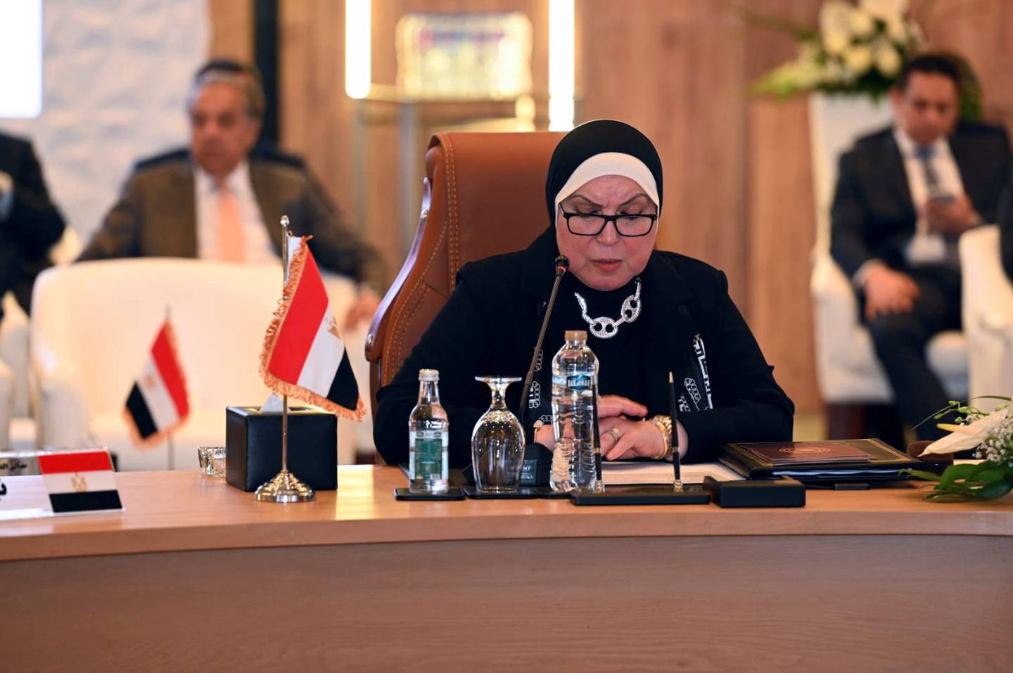 Dr Nevin Gamea, Egypt's Minister of Trade and Industry, at the meeting. Photo: Ministry of Industry and Advanced Technology