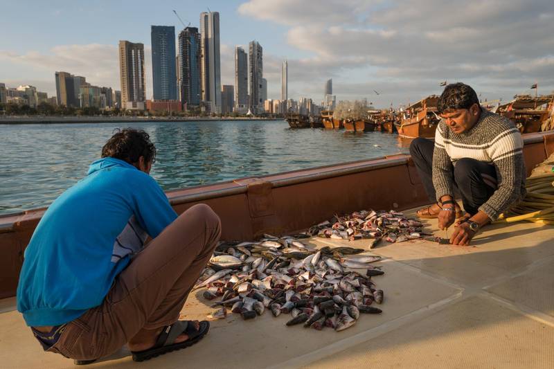 Two men cut fish on board a dhow. About 130 of the traditional wooden fishing vessels are moored at Mina Zayed. Courtesy Sohail Karmani