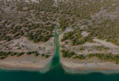 To fight climate change, the UAE is carrying out projects such as reducing emissions and planting mangroves.