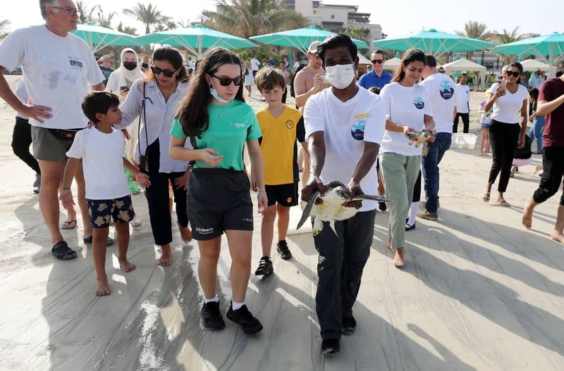 A crowd of rescuers and holidaymakers watched the release of 21 critically endangered hawksbill turtles and five endangered green turtles back into the sea next to Burj Al Arab.