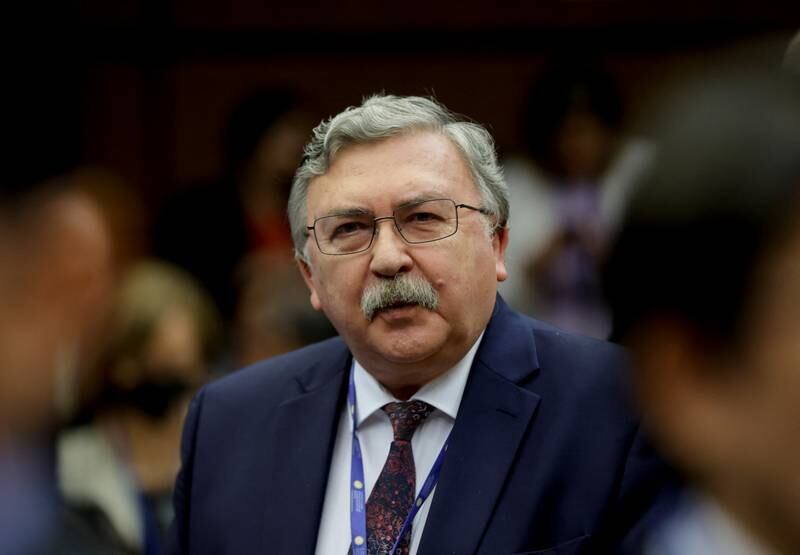 Mikhail Ulyanov, Russia's governor to the IAEA, in Vienna. Reuters
