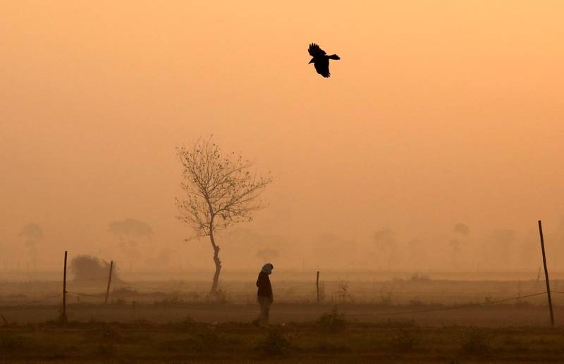 A man walks through a vegetable field on a foggy winter morning in New Delhi, India. Reuters