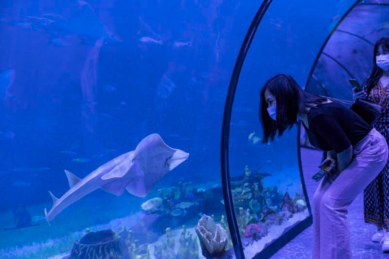 Visitors can book the aquarium tour or a behind-the-scenes tour.