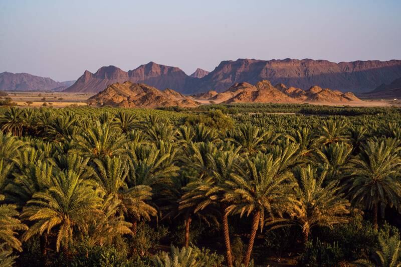 The book shows the magnificence of AlUla's landscape from lush green oasis, vast expanses and drifting sand to basalt uplands.