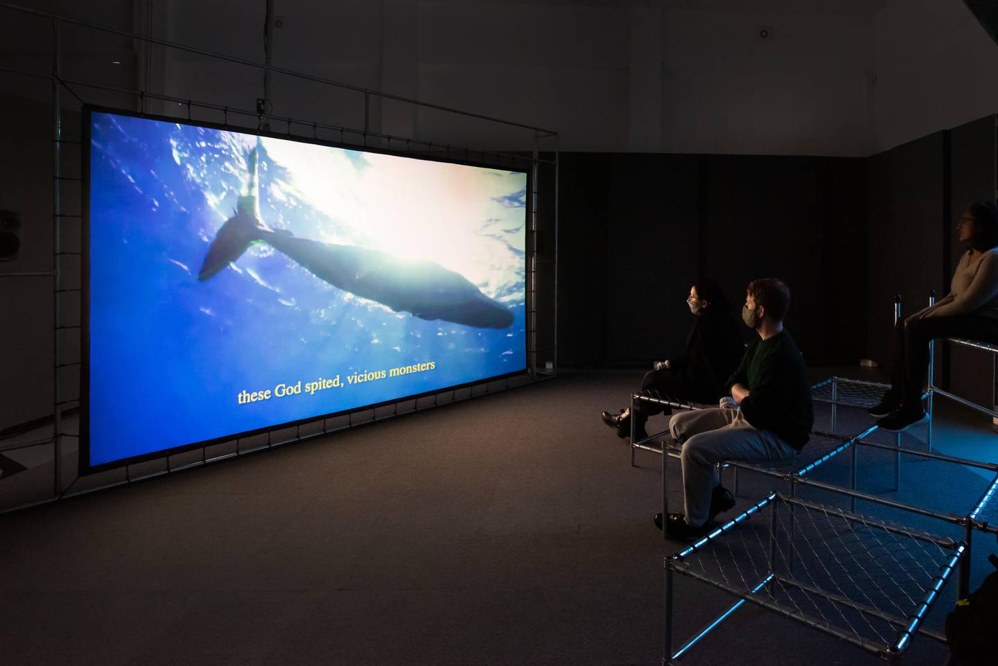 Sperm whales in Haig Aivazian's video 'All of Your Stars Are but Dust on My Shoes' (2021). Their large sacs of oil, stored in their heads, were prized sources of oil before the invention of electricity. Photo: The Showroom, Haig Aivazian, Max Colson