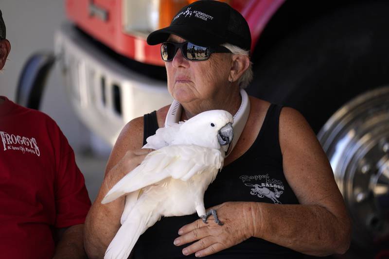 Ms Bailey waits to be moved off the island with her cockatoo. AP