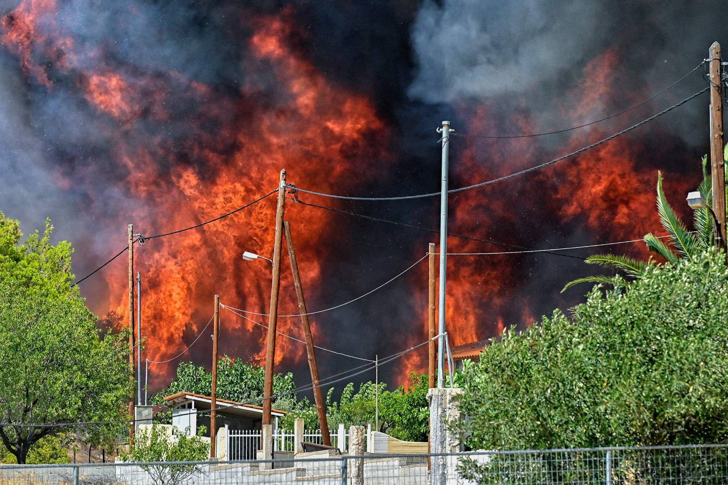 Wildfires cause chaos in Greece
