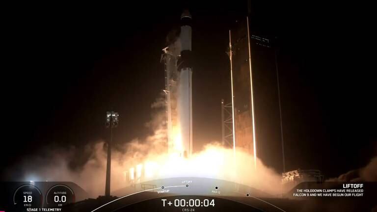 An image that illustrates this article SpaceX successfully launches UAE-Bahraini satellite