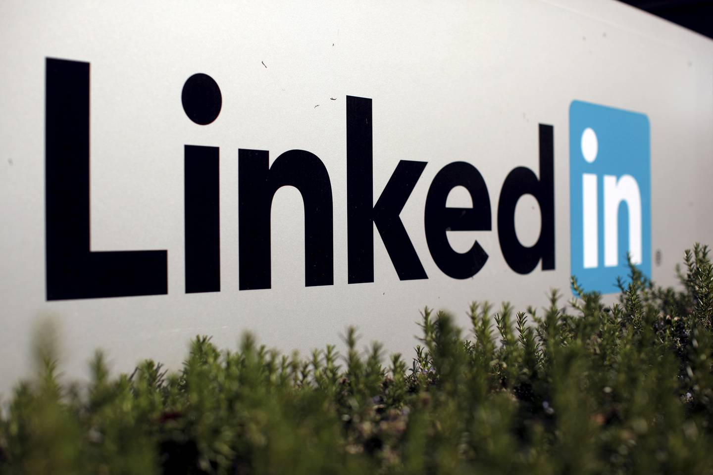 LinkedIn revenue grew nearly 17 per cent annually in the first quarter. Reuters