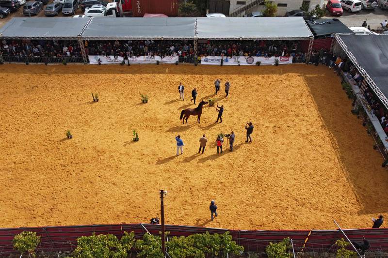 This aerial shot shows a horse being paraded in front of the judges.