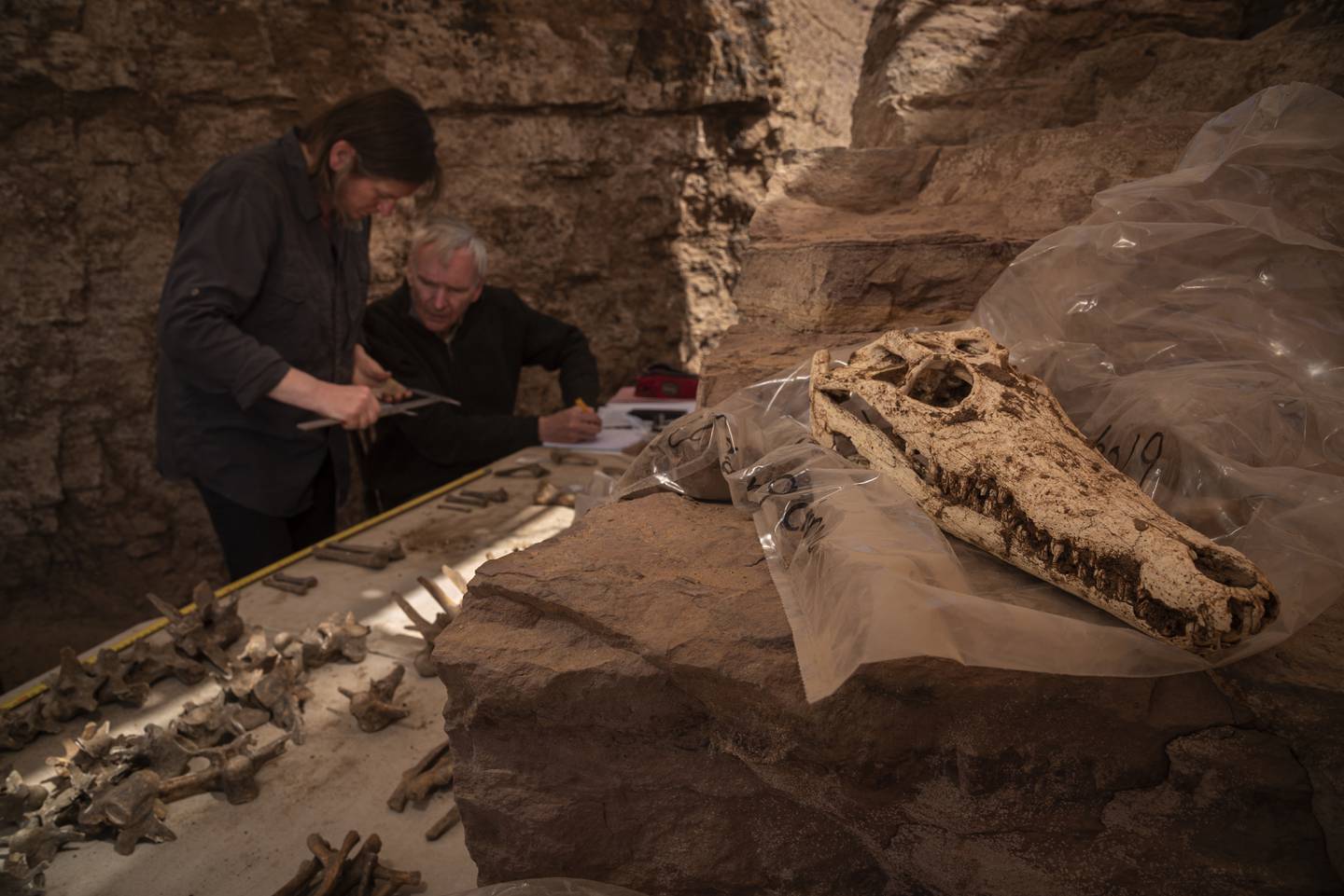 Les chercheurs Bea De Cupere et Wim Van Neer de l'Institut royal des Sciences naturelles de Belgique mesurent et étudient les spécimens sur place. 