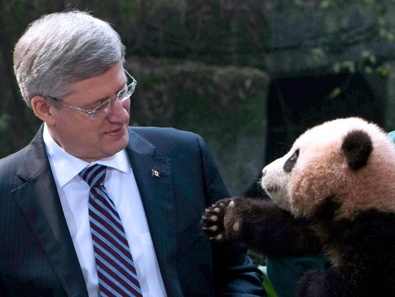 In this Feb. 11, 2012, photo, panda reaches for Prime Minister Stephen Harper at the Chongqing Zoo in Chongqing, China. A pair of giant pandas born and raised in China are about to receive a Canadian welcome worthy of their name. Harper, who personally announced the loan deal during a trip to China last year, will be on hand to greet the new arrivals as they disembark from a highly customized plane trip. (AP Photo/The Canadian Press, Adrian Wyld) *** Local Caption ***  Pandas Arrival.JPEG-05bcb.jpg