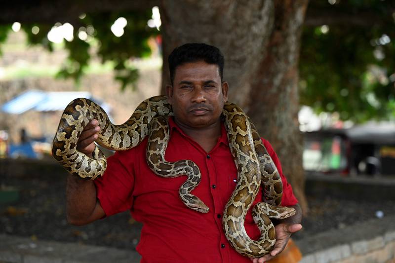 A snake charmer handles a python at the Galle Fort in Sri Lanka. AFP