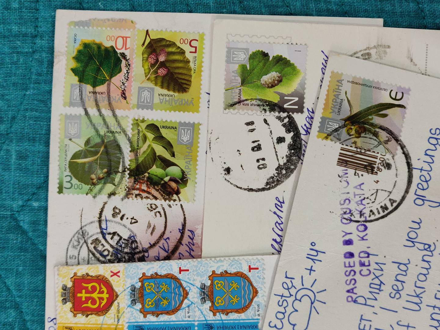 Ukrainian stamps, depicting cities' coats of arms and sketches of the country's flora. Ridhi Agrawal for The National