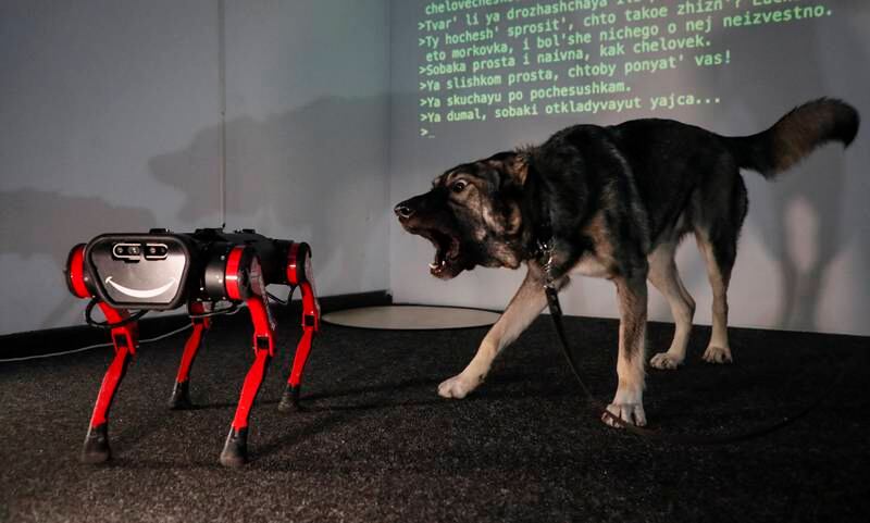 German shepherd dog Marble meets a bionic dog during pop-scientific experiment Doglogi, part of the 'Expansion of Reality' exhibition at the M'ARS Centre for Contemporary Art in Moscow, Russia.  EPA 