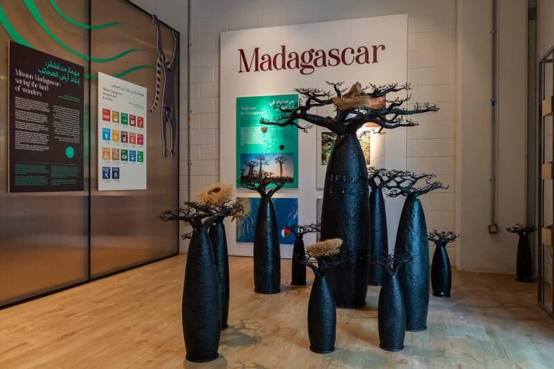 Inside the Madagascar pavilion. Christophe Viseux/Expo 2020 Dubai
