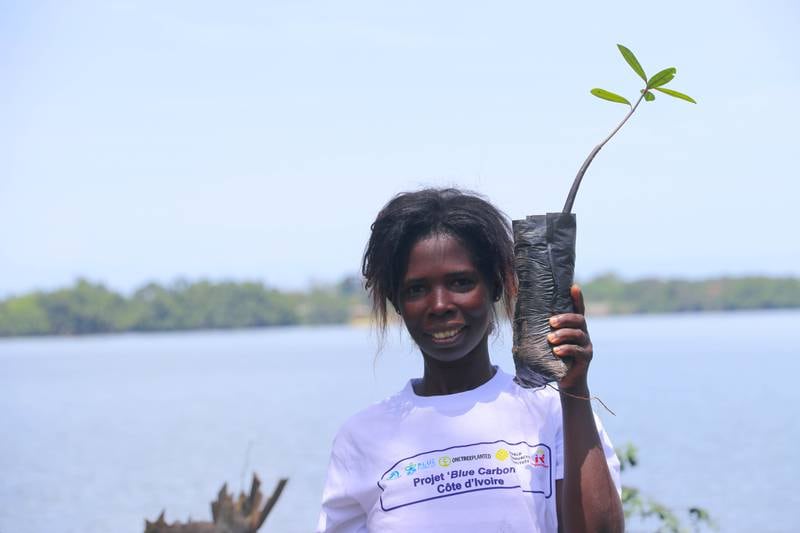 A woman planting new mangroves in the Ivory Coast. Vahid Fotuhi