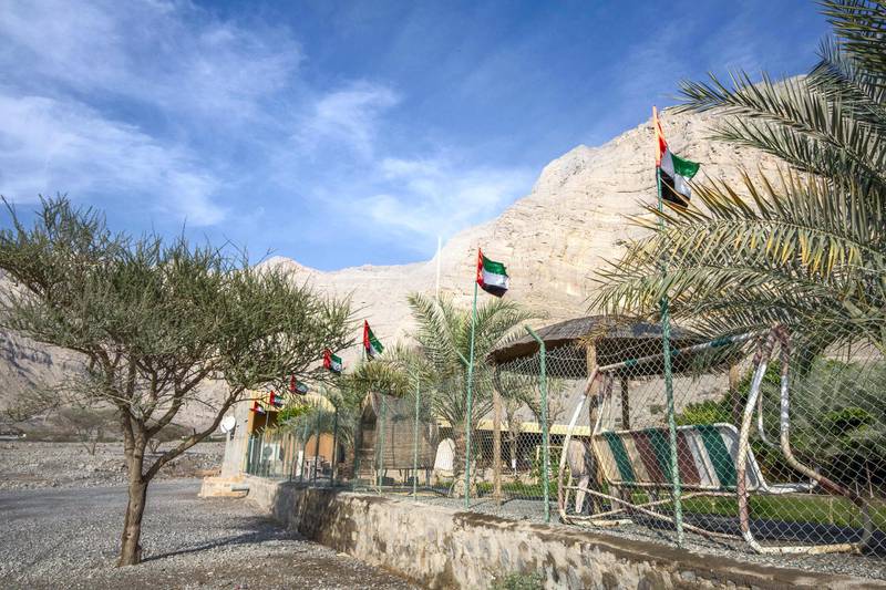 RAS ALKHAIMAH, UNITED ARAB EMIRATES - A farm decorated  UAE flags in Ras Alkhaimah.  Leslie Pableo for The National for Ruba Haza’s story