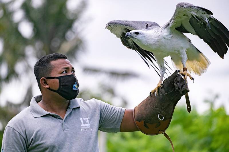 A zookeeper wears a protective face mask at the reopened Bali Zoo, in Bali, Indonesia.  EPA