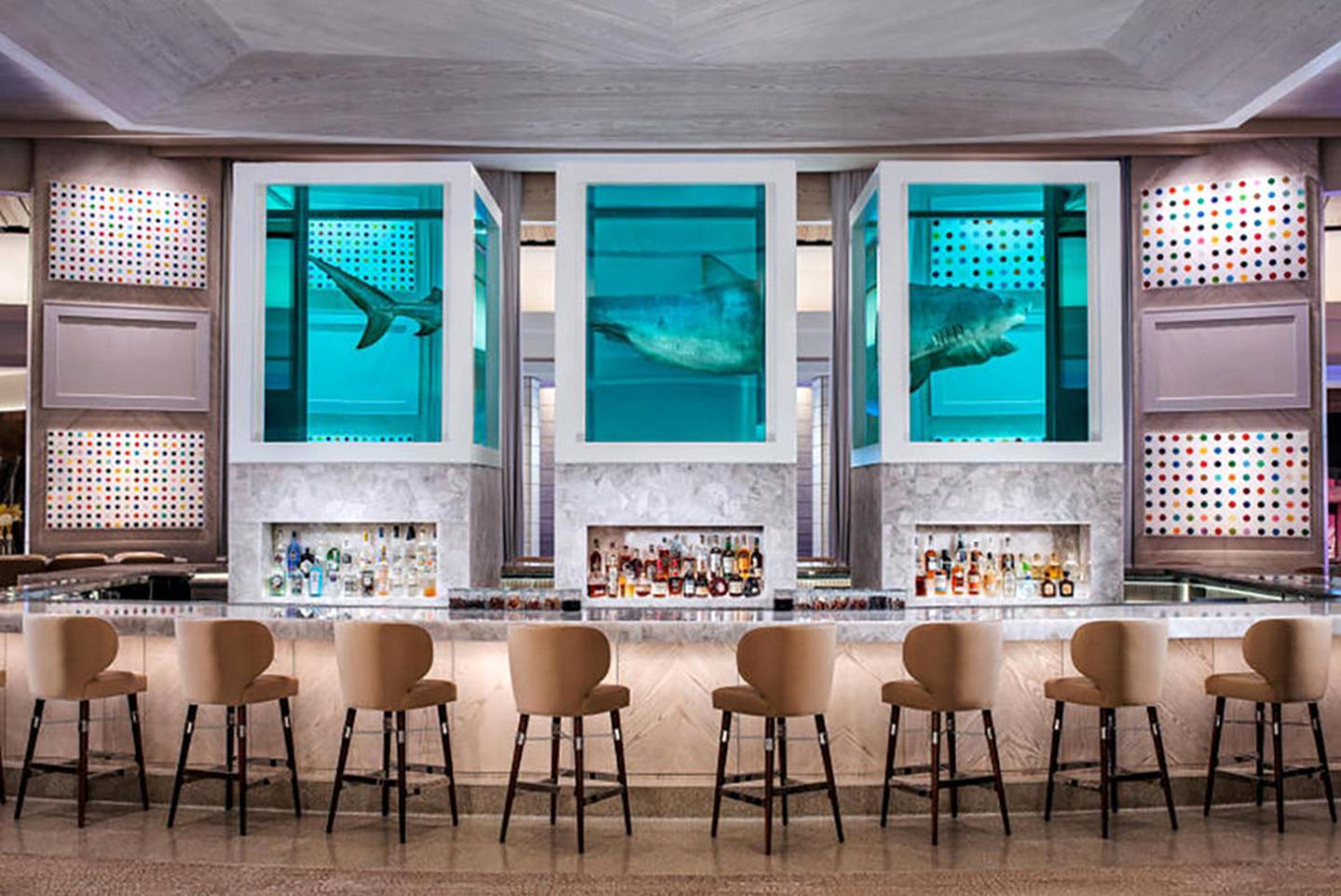 A shark suspended in formaldehyde within the suite. Courtesy Clint Jenkins