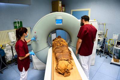 The mummy undergoes a CT scan at the hospital.
