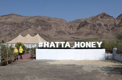 DUBAI, UNITED ARAB EMIRATES , November 7 – 2020 :- View of the Hatta honey bee garden at the Hatta in Dubai. The ticket price of honey bee garden tour is 50 AED per person.  (Pawan Singh / The National) For News/Online/Instagram/Big Picture. Story by Nick Webster 