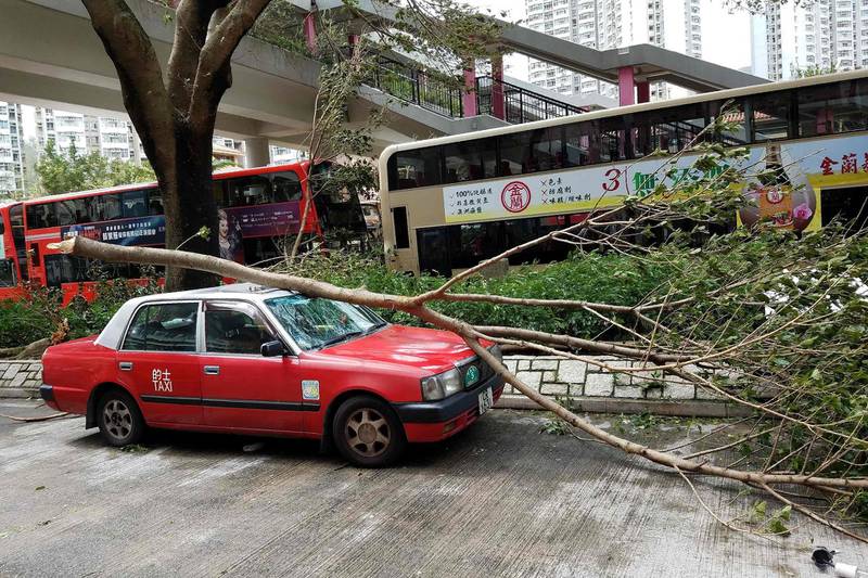 A tree rests on a damaged taxi following the passage of super Typhoon Mangkhut in Hong Kong. AFP