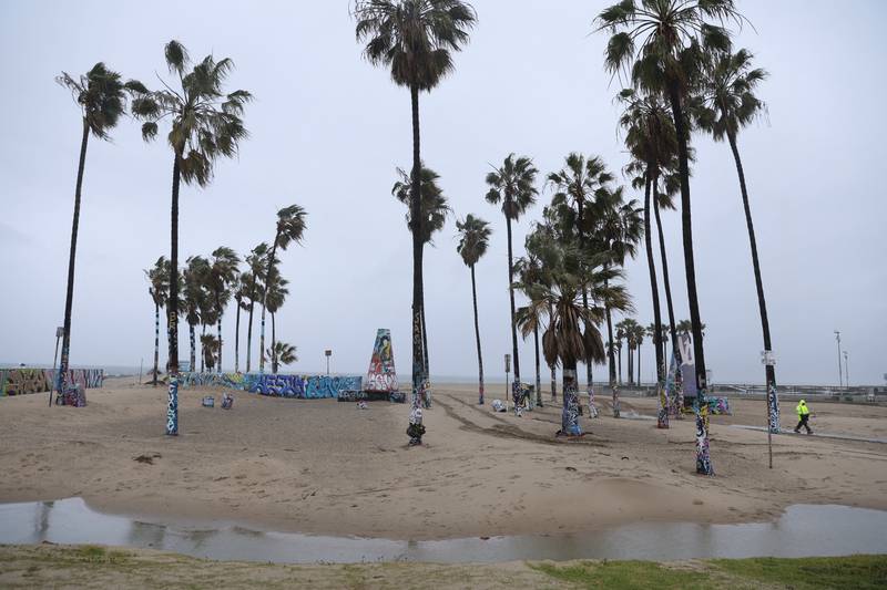 People walk among the palm trees at an empty Venice Beach during the winter storm. Reuters