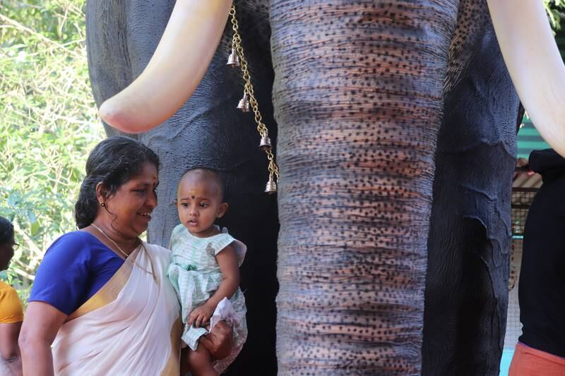 Captive elephants killed 526 people in Kerala in 15 years, according to Peta