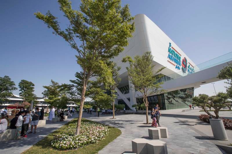 The National Aquarium Abu Dhabi opened to the public in November. All photos by Ruel Pableo for The National