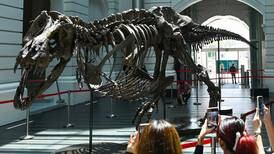Christie's pulls T-rex skeleton from auction over replica bones