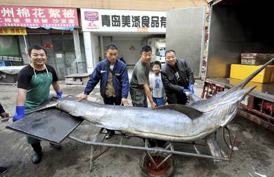 Seafood vendors pose for photographs with a giant swordfish after unloading it from a truck, in Qingdao, Shandong province. The 4.1-metre long  swordfish, weighed about 309.5 kilogrammes, was caught by local fishermen, local media reported. Reuters