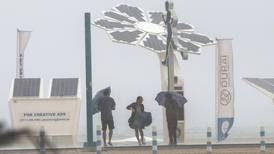 UAE storms: clean-up under way across Emirates