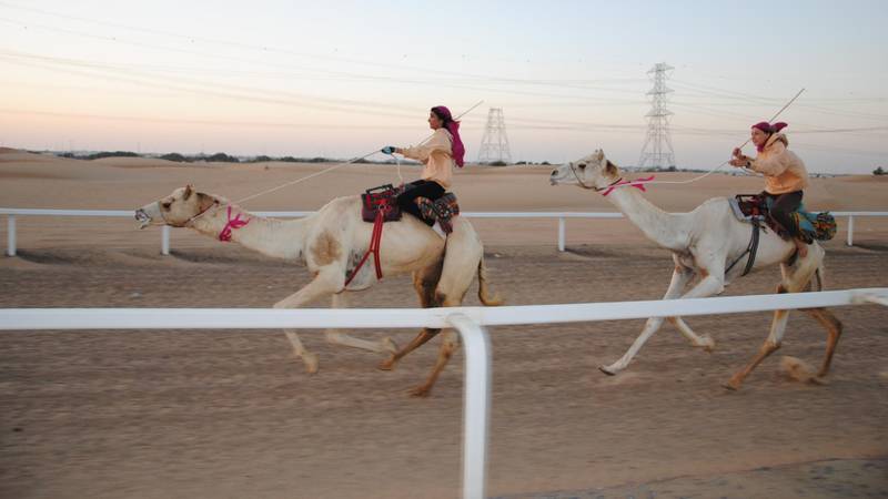مهرجان الهجن السعودي يستضيف سباقًا لجميع النساء