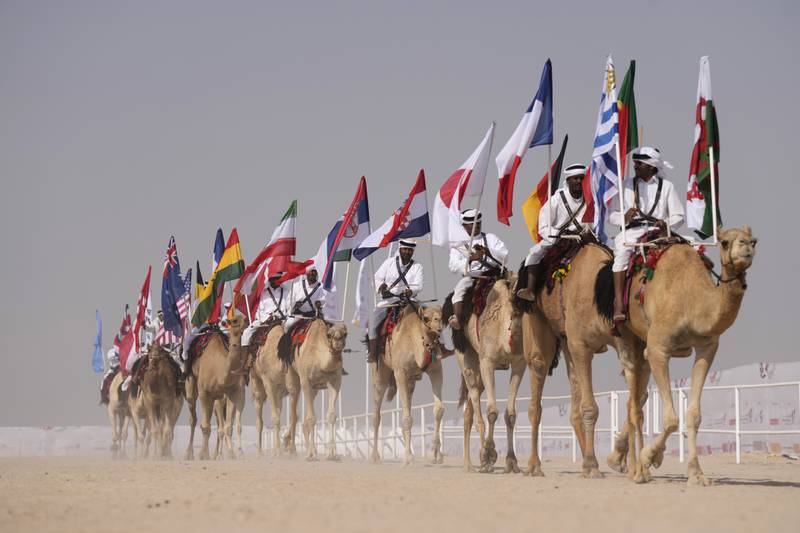 A camel parade at the Mzayen Club in Ash- Shahaniyah, Qatar. AP 