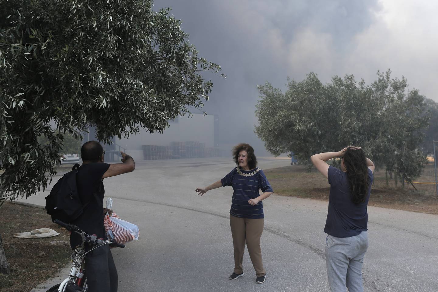 Owners of a honey processing factory react as a bushfire approaches the facility in Aspropyrgos, near Athens, on July 10. EPA