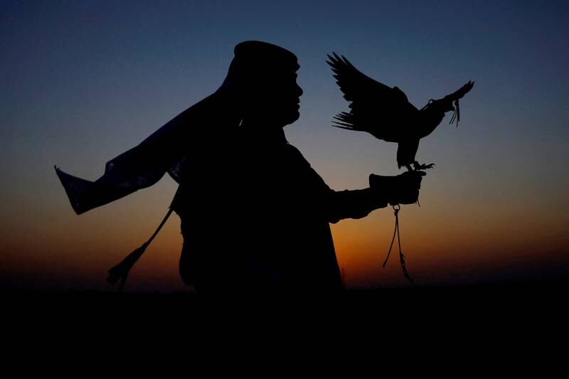 A man holds a falcon during a demonstration of falconry in Doha, Qatar. Reuters