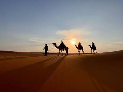 The Heart of Arabia team travels across the Saudi desert on camels. All photos unless stated: Ana-Maria Pavalache / Heart of Arabia expedition 