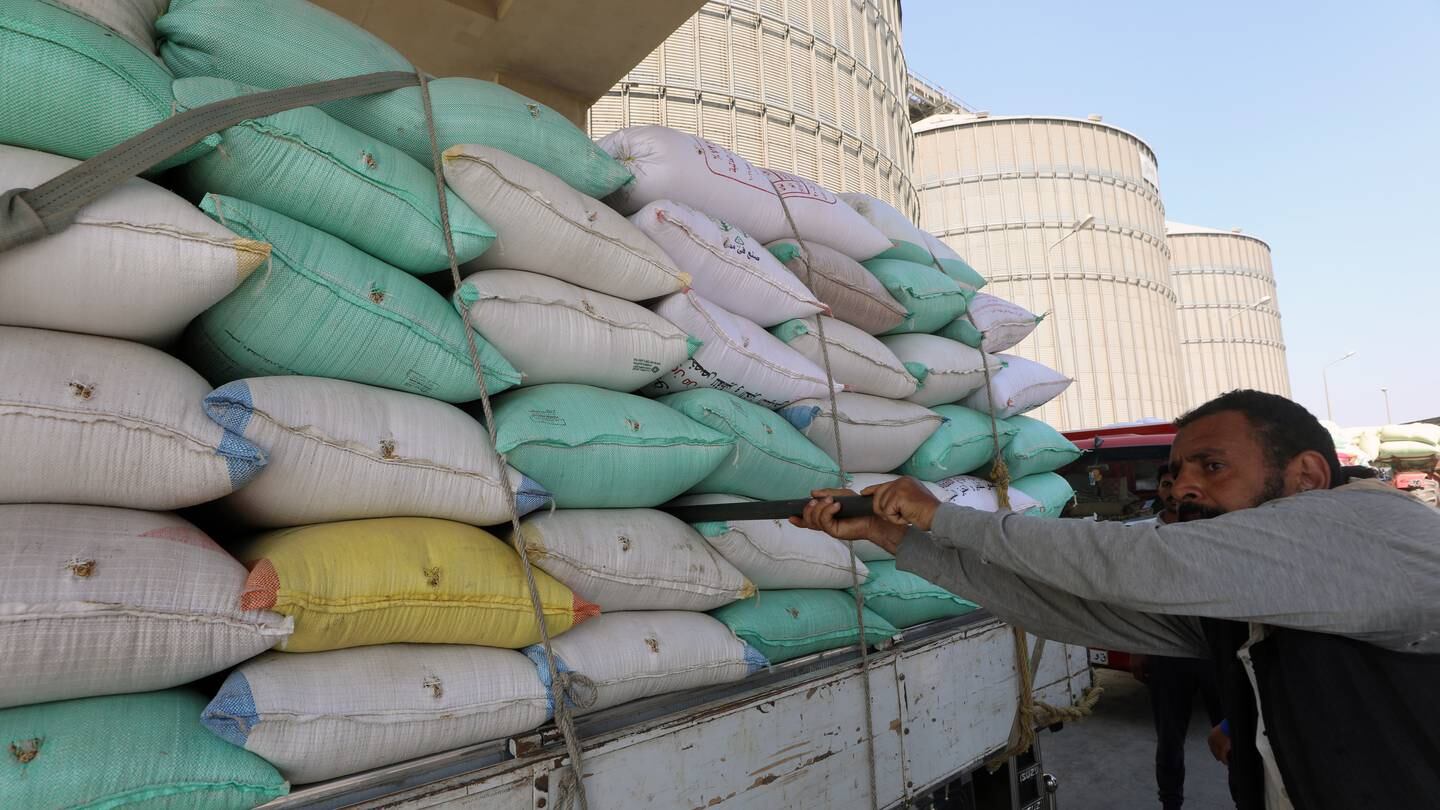 الدبلوماسية العربية المركزة تبحث عن حل لمشكلة صادرات الحبوب الأوكرانية