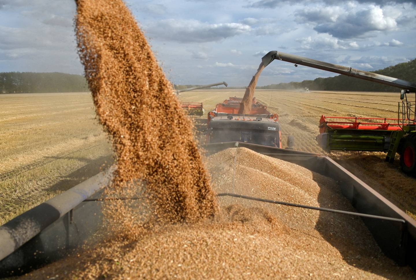 Wheat loaded onto trucks during harvest near a village in the Omsk region, Russia, on September 8. Reuters