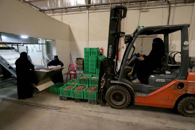 A Saudi woman drives a forklift to transport dates at a factory in Al-Ahsa, Saudi Arabia, September 10, 2020. Picture taken September 10, 2020. REUTERS/Ahmed Yosri