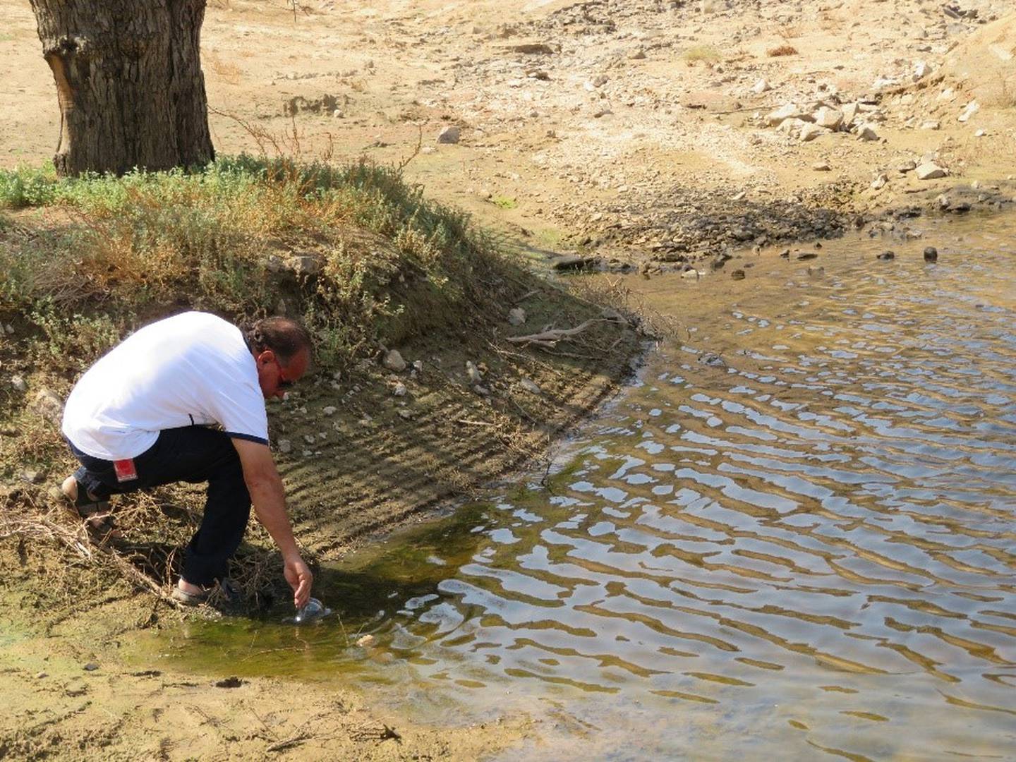 Researchers collecting mud and water samples in the Emirates. Photo: Prof Waleed Hamza.